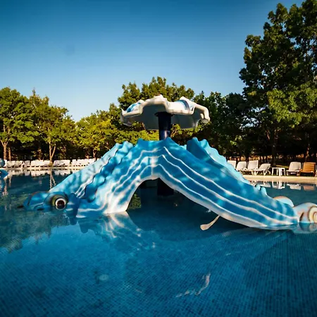 Anadolu Thermal מלון Esenboga